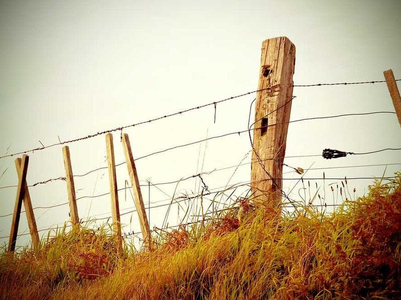 Canada Announces Major Updates to its Express Entry System for 2026